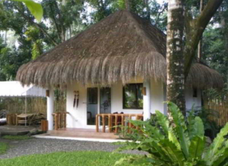 Pura Vida Beach & Dive Resort Dauin Eksteriør billede