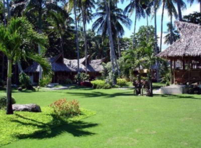 Pura Vida Beach & Dive Resort Dauin Eksteriør billede
