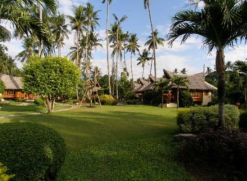 Pura Vida Beach & Dive Resort Dauin Eksteriør billede