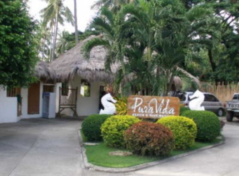 Pura Vida Beach & Dive Resort Dauin Eksteriør billede