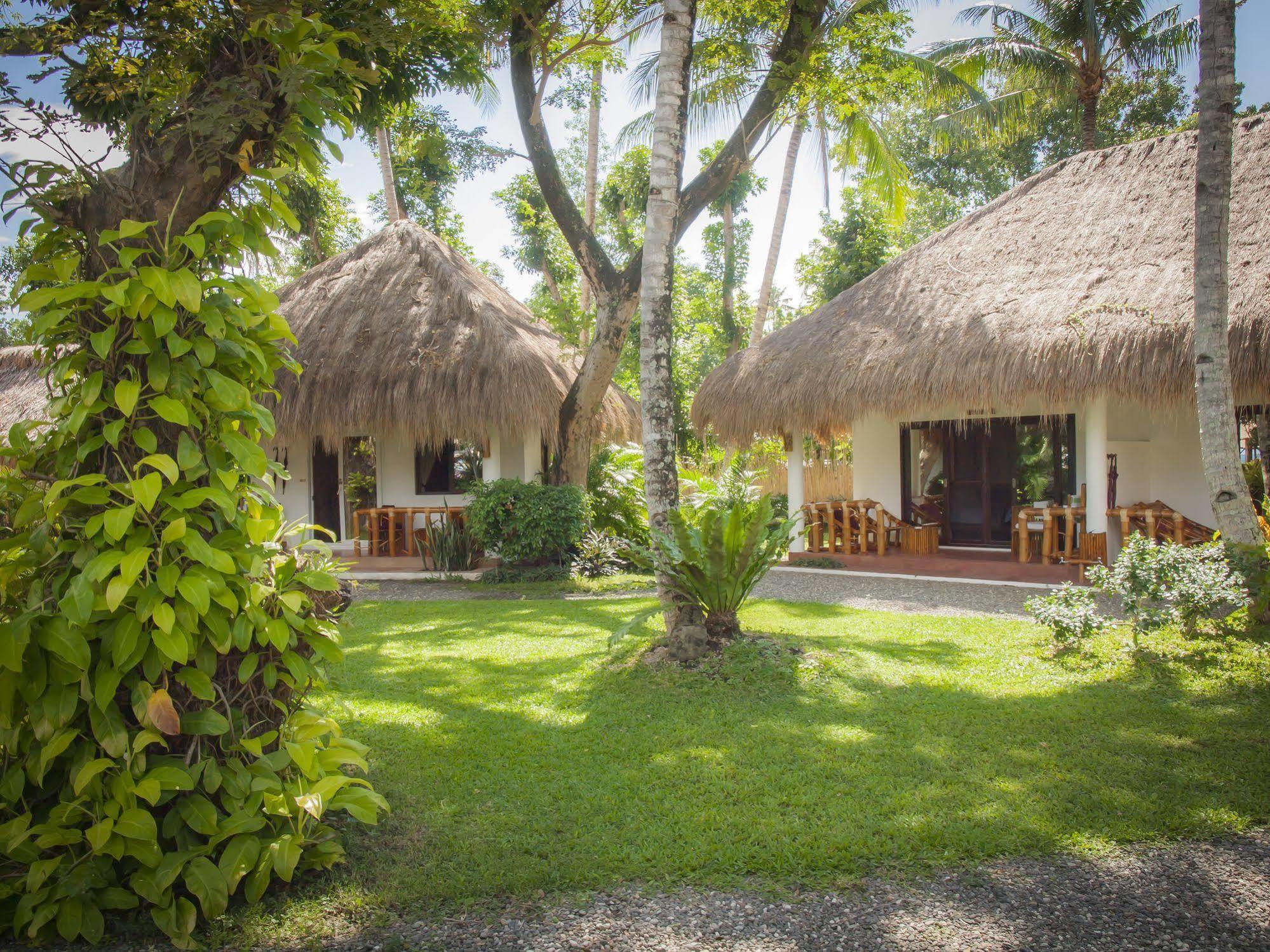 Pura Vida Beach & Dive Resort Dauin Eksteriør billede