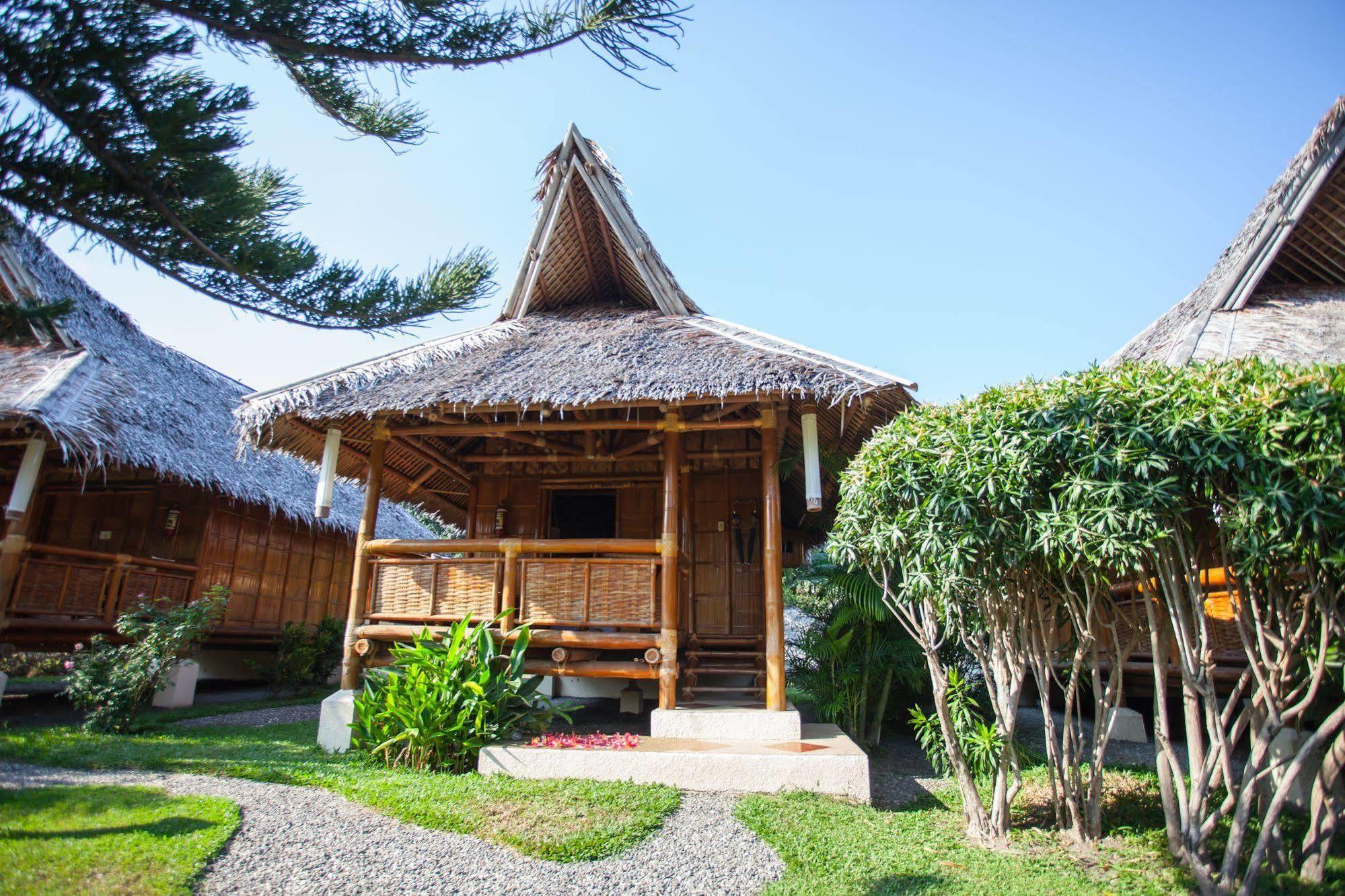 Pura Vida Beach & Dive Resort Dauin Eksteriør billede
