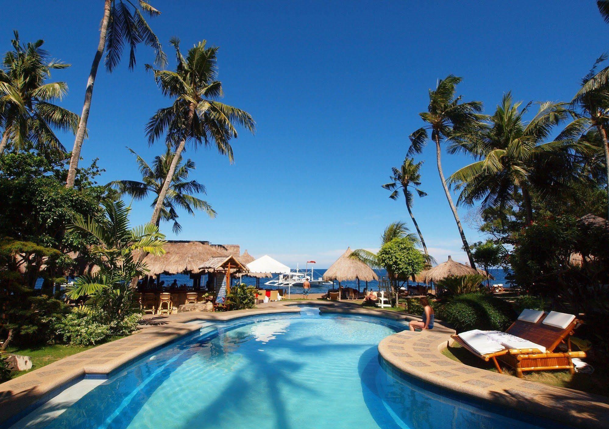 Pura Vida Beach & Dive Resort Dauin Eksteriør billede